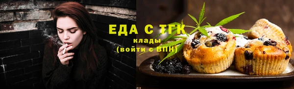 СК Алексин
