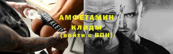 СК Алексин