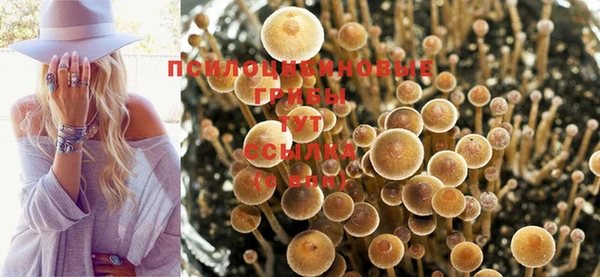 бошки Алексеевка
