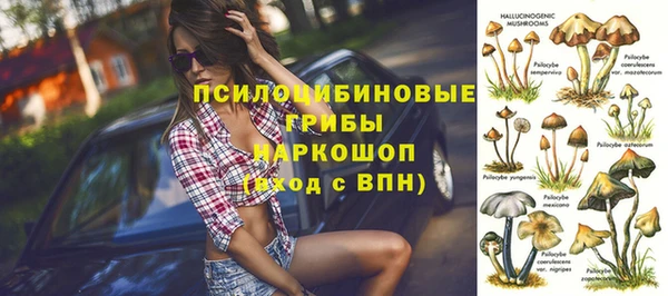 СК Алексин