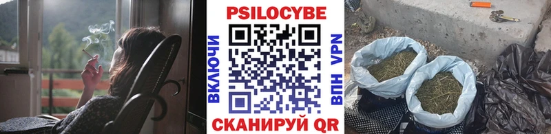 закладки  Гуково  Галлюциногенные грибы Psilocybe 
